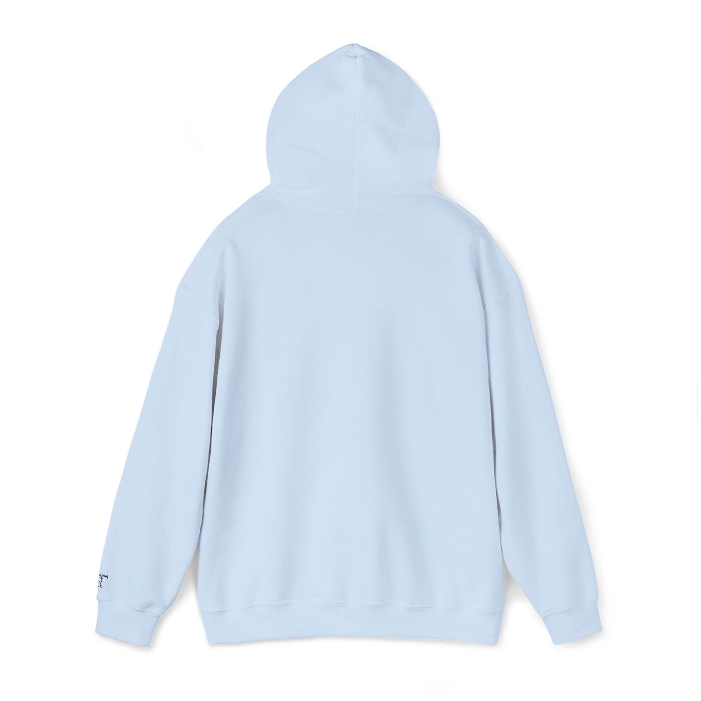Classic Unisex Heavy Blend Hooded Sweater