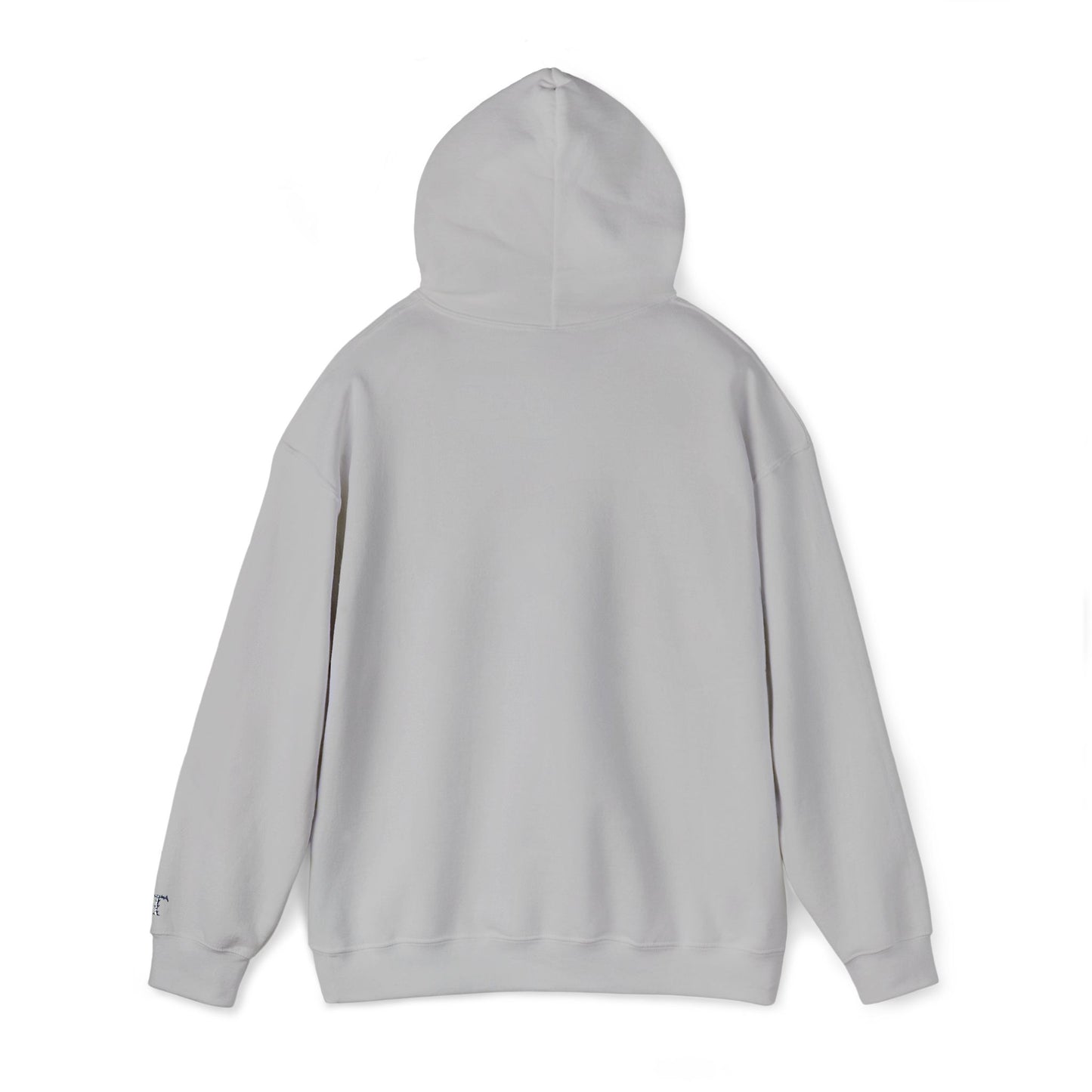 Classic Unisex Heavy Blend Hooded Sweater