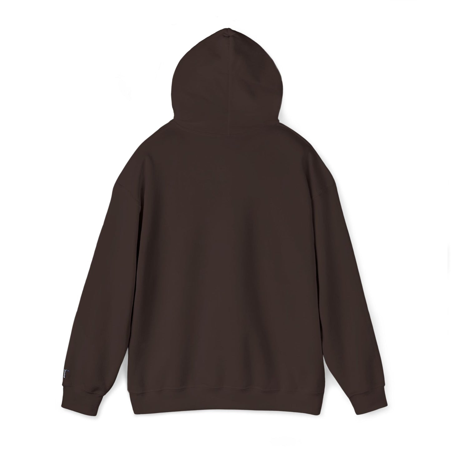 Classic Unisex Heavy Blend Hooded Sweater