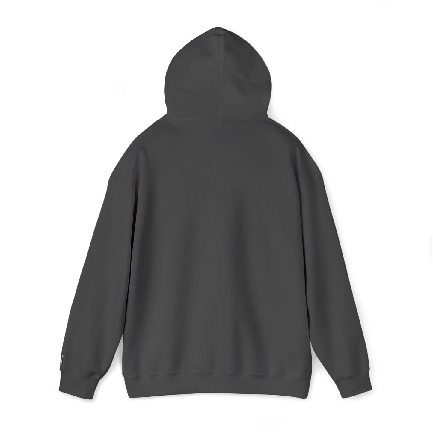 Classic Unisex Heavy Blend Hooded Sweater