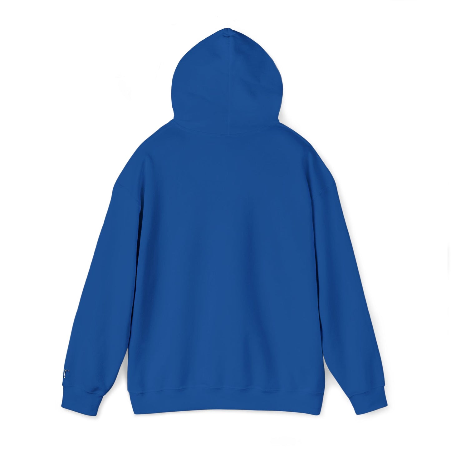 Classic Unisex Heavy Blend Hooded Sweater