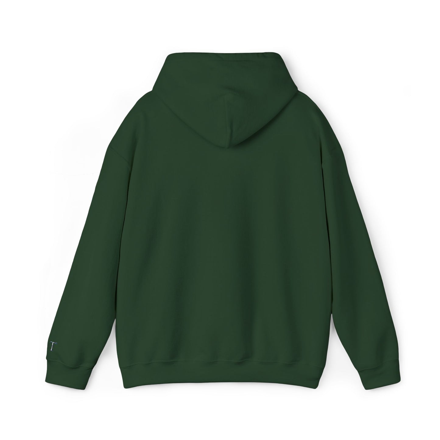 Classic Unisex Heavy Blend Hooded Sweater