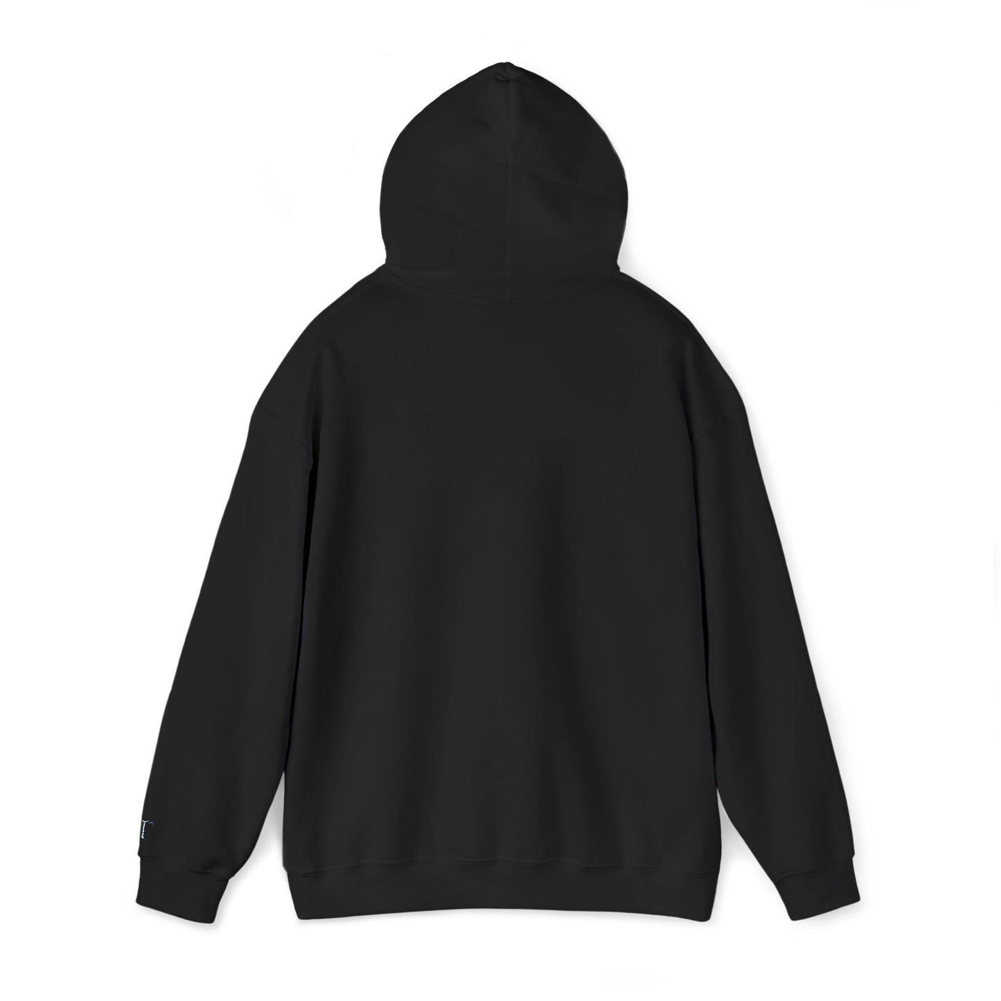 Classic Unisex Heavy Blend Hooded Sweater